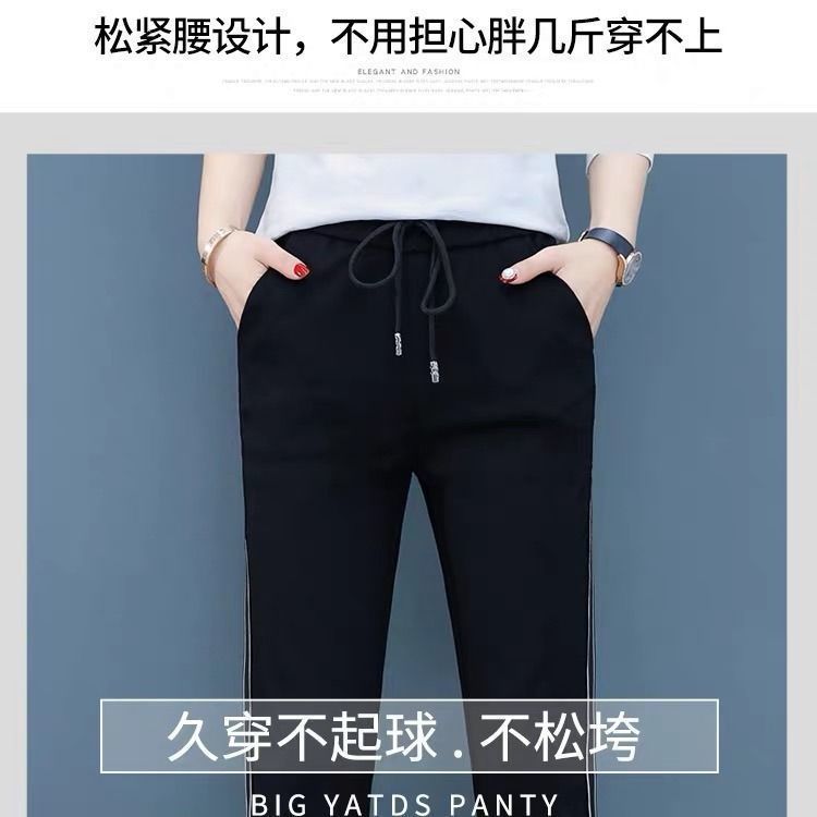 第231页