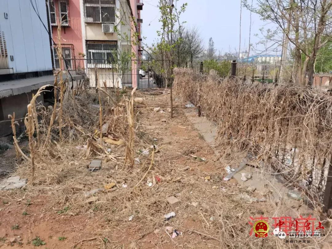 百科百度 第72页